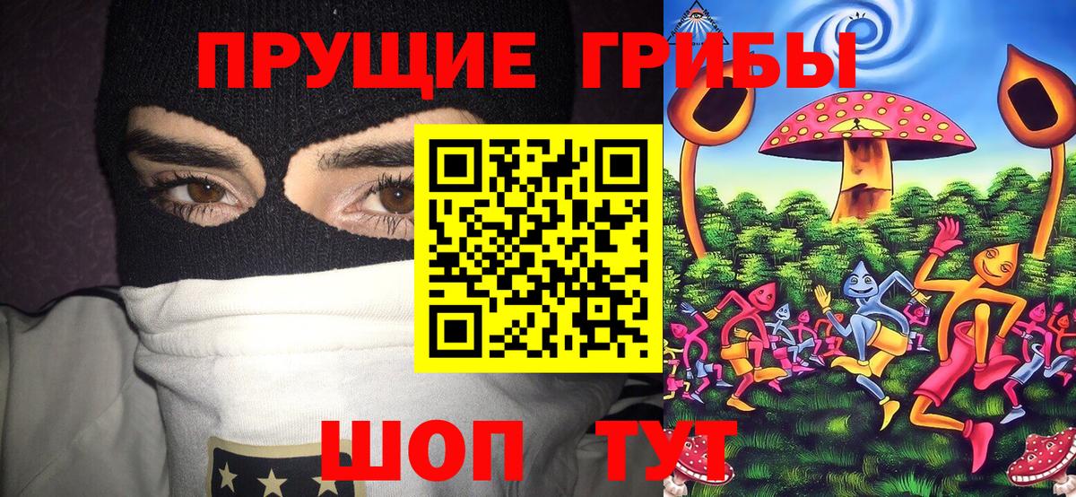Галлюциногенные грибы мицелий Десногорск