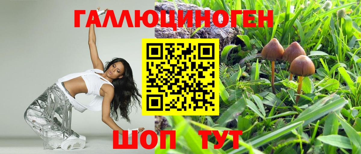 Галлюциногенные грибы MAGIC MUSHROOMS  Вход с VPN  Псилоцибиновые грибы Psilocybe  Десногорск 
